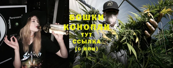 сатива Покровск