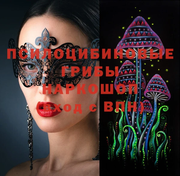 мяу мяу мука Пролетарск