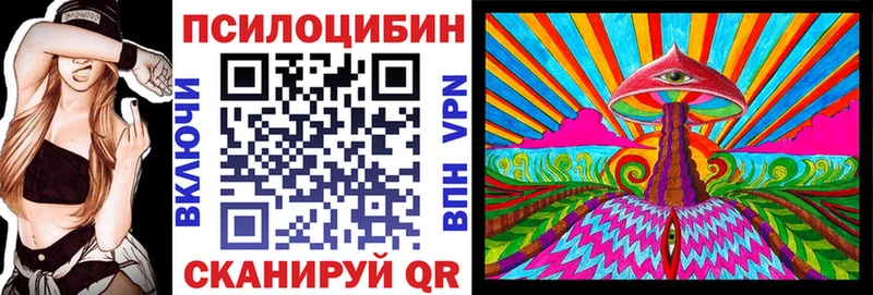 Купить где  Черногорск  Галлюциногенные грибы Psilocybe 