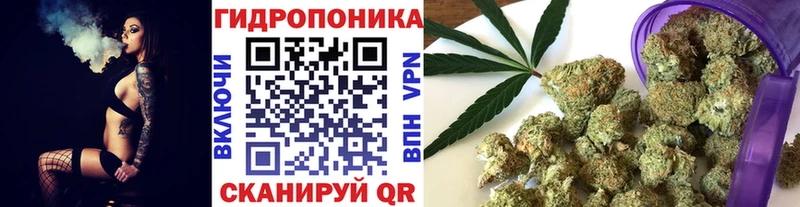 МАРИХУАНА гибрид Купить закладки Черногорск